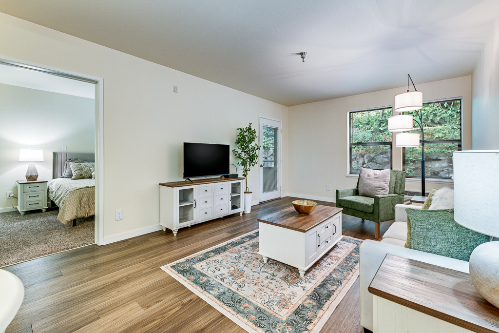 One Bedroom Apartment Home Living Room